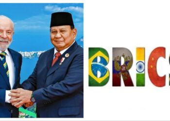 Indonesia defends joining BRICS, vows to be ‘bridge-builder’ amid shifting alliances