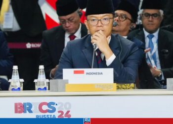 Indonesia’s Admission To BRICS Raises Concerns About Impact On Jakarta-West Relations