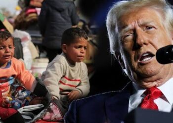 Trump Calls neighbours to take in Palestinians to ‘clean out’ Gaza