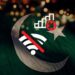 Pakistan Ranks First in Global Internet Shutdown Losses