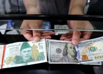 Pakistan To Face Double Trouble if BRICS Threatened the US Dollar