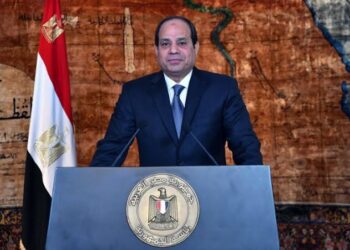 Egypt, Jordan leaders reject Trump’s suggestion to take in Palestinians