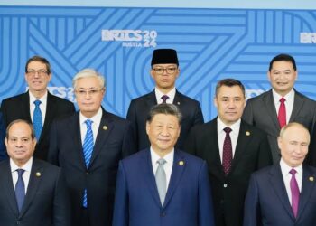 Indonesia Urged to Advocate for Access of Inclusive NDB Loans for New BRICS Members