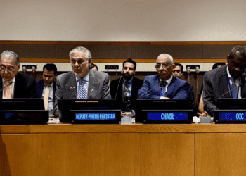 At OIC Meeting Pakistan Calls For Resolution Of Kashmir & Palestinian Conflicts