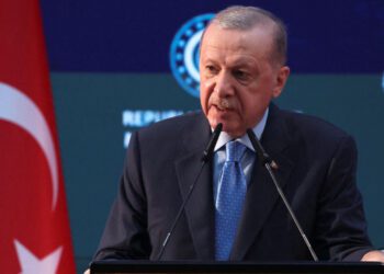 Erdogan Warns of US ‘Miscalculation’ on ‘Unacceptable’ Gaza Plan