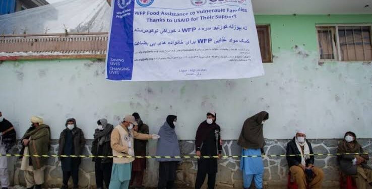 US Aid Cut May Shrink Afghan Economy by 7%