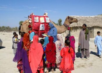 World’s First Camel Library Launched In Balochistan To Brings Books to Remote Areas