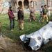 Pakistan Downs 5 Indian Jets in Retaliation for Missile Strikes