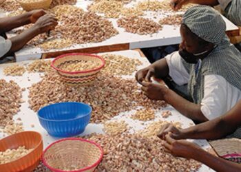 Ibrahim Traore reopens cashew factory, boosting employment