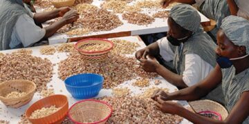Ibrahim Traore reopens cashew factory, boosting employment