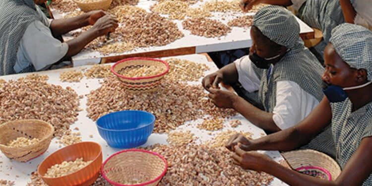 Ibrahim Traore reopens cashew factory, boosting employment