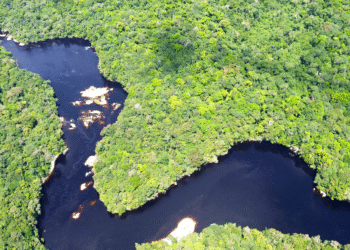 Colombia bans oil and mining projects to protect Amazon