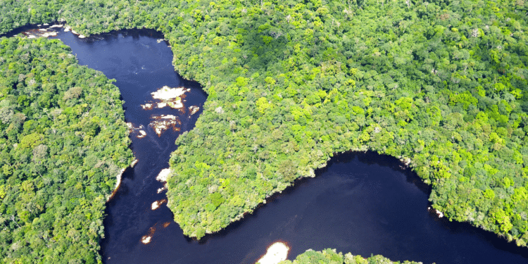Colombia bans oil and mining projects to protect Amazon