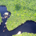 Colombia bans oil and mining projects to protect Amazon